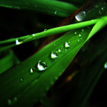 Droplets